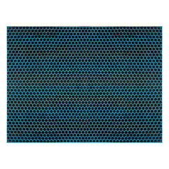 Carpet mat