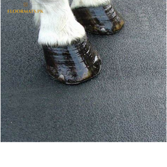 TEXTURED RUBBER FLOORING /Animal Mat / ANTI-SLIP Flooring /Multi purpose Flooring